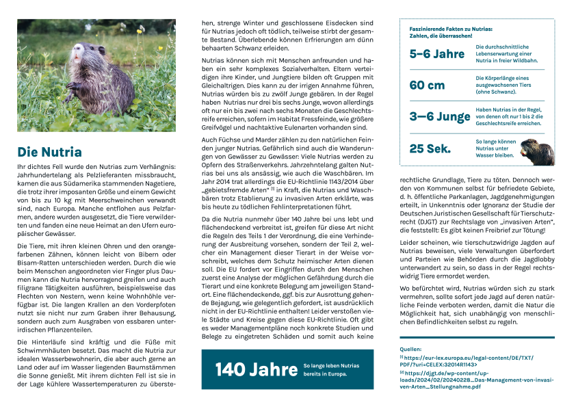 Flyer »Nutria« (100 Stück)