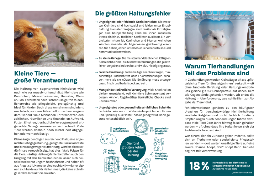 Flyer »Kleintiere« (100 Stück)