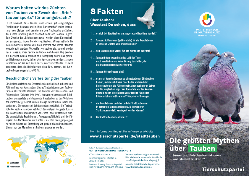 Flyer »Stadttauben« (100 Stück)