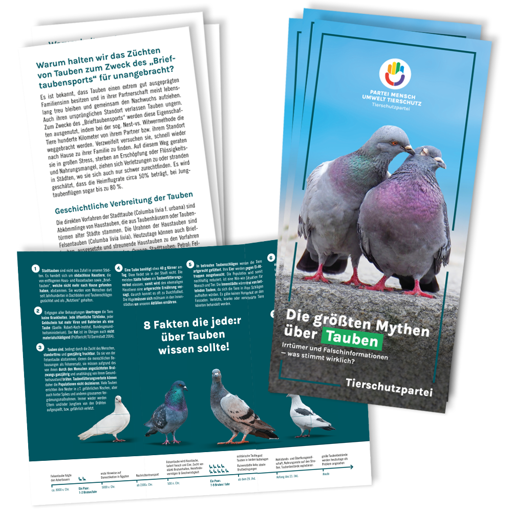 Flyer »Stadttauben« (100 Stück)