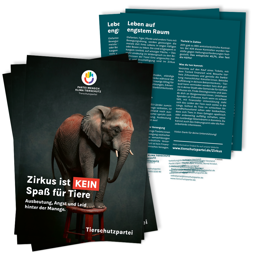Flyer »Zirkus« A5 (100 Stk.) #1